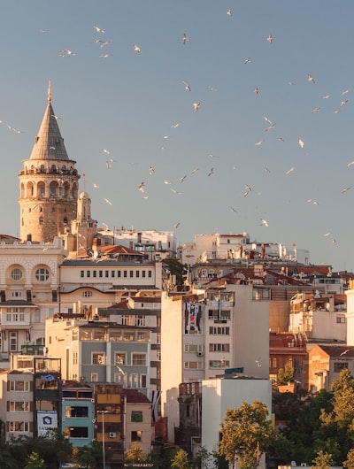 Turkey